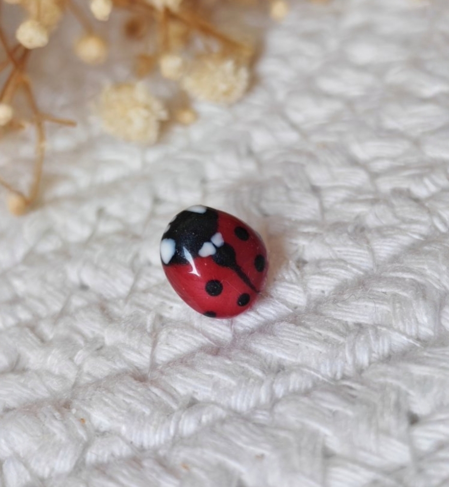 🐞 Lienka pre šťastie - dar pre ženícha 🐞